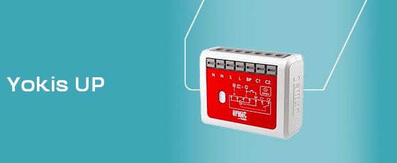 Yokis UP