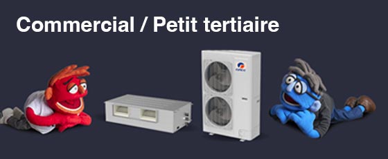 Commercial / Petit tertiaire